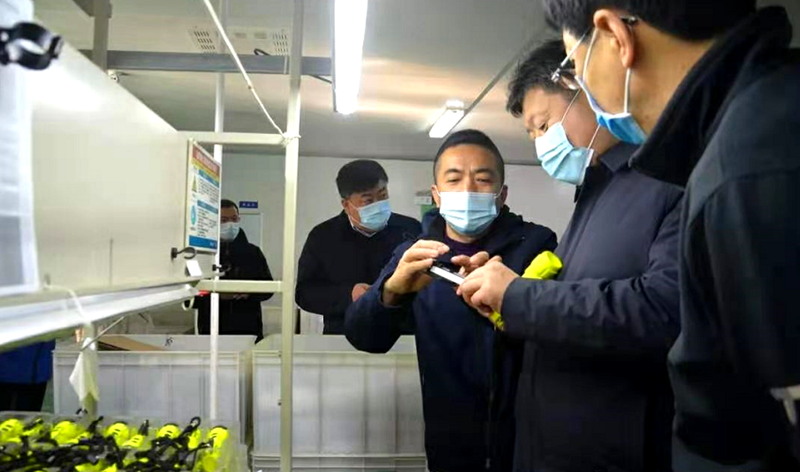 龙口市领导到一号娱乐电子旗下东立公司考察指导工作